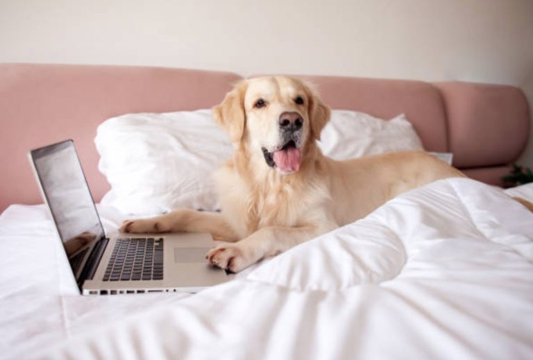 How Mortgage Brokers Can Use Digital Marketing to Attract Clients